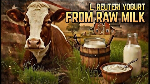 Making L. Reuteri Yogurt With Raw Milk - 5 Tips