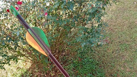 2025 Early Season, First Shot With Matthews Icon