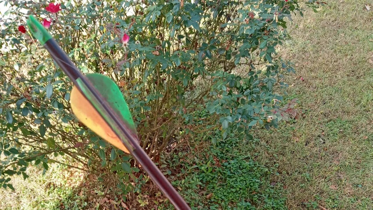 2025 Early Season, First Shot With Matthews Icon