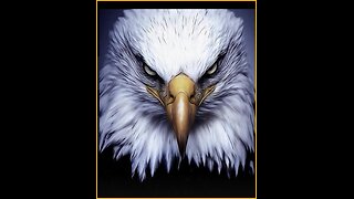 Restored Republic via a GCR Update as of November 27, 2025 .......