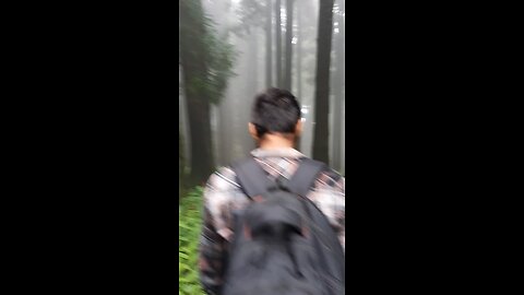 Darjeeling tour. #myfirstvideo #shorts #viral #trending