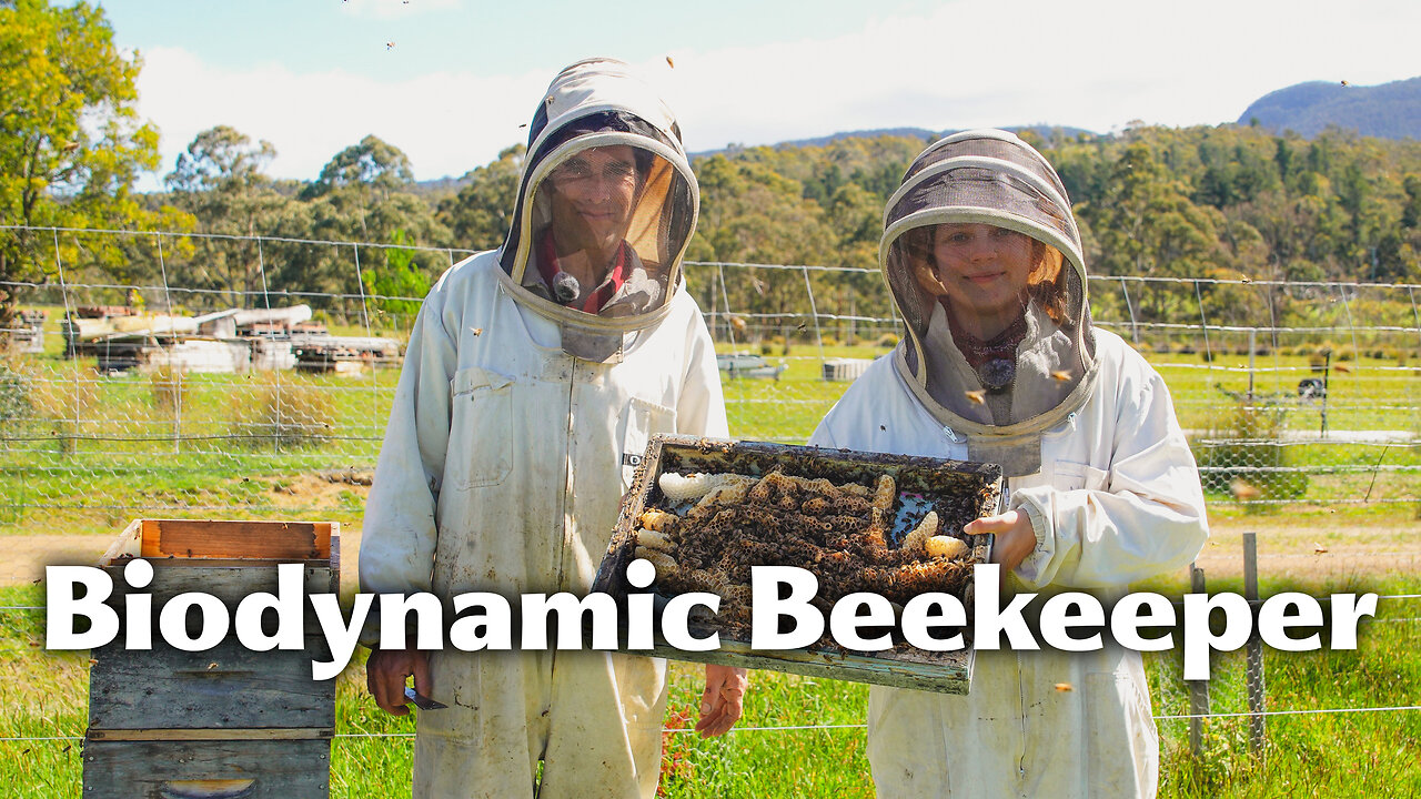 French Beekeeper Shows His Amazing Hives! - Biodynamic Beekeeping - Working With Nature and Cycles