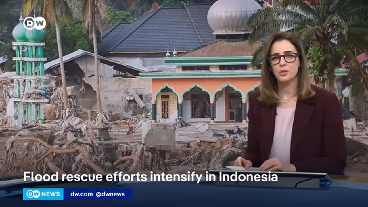 Sumatra floods: How decades of excessive deforestation have exacerbated the devastation