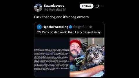 AEW Fans Attack CM Punk’s Dog… Truly Sick People #shorts
