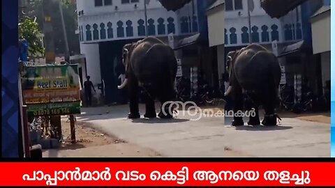 തൃശ്ശൂരിൽ ഉത്സവത്തിനിടയിൽ ആനയിടഞ്ഞു _ Kerala elephant attack latest _ Aanakathakal