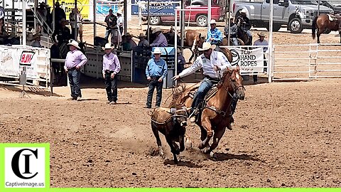 Top 12 Steer Roping Short Go🐂 2024 Spicer Gripp Memorial Roping