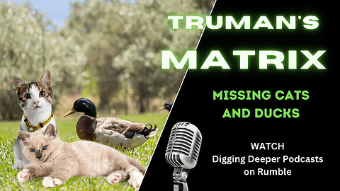 Trumans Matrix; Missing Cats and Ducks?