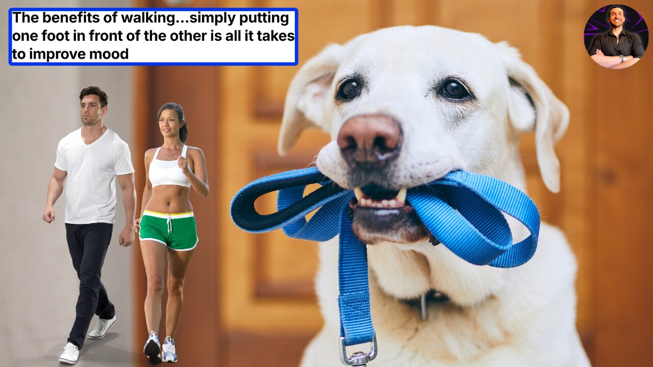 Go For a Walk and Watch Your Life Improve DRAMATICALLY!