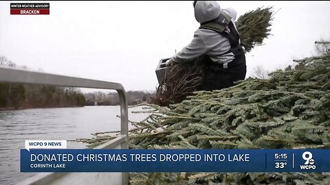 Kentucky officials throw Christmas trees in Lakesall over the state each year. Here's why.