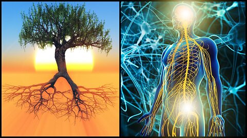 Tree symbolism and the human nervous system.