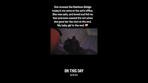 It's been a year baby girl.... A whole year without you.... It doesn't feel like it to mommy.... 💔