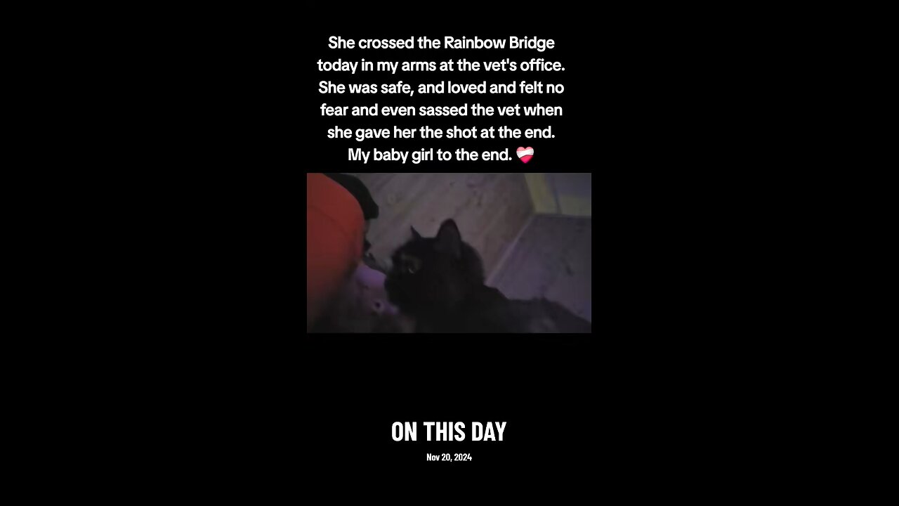 It's been a year baby girl.... A whole year without you.... It doesn't feel like it to mommy.... 💔