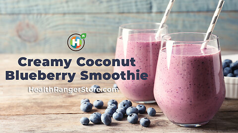 Creamy Coconut Blueberry Smoothie (Dairy-Free!)