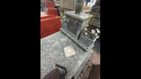 DUOLINGO STUDIARE CON LE RAGAZZE 24/1/26 🗿🐲👽💎🫴