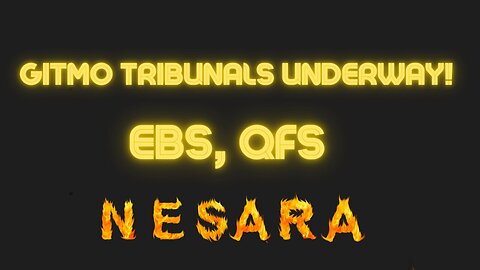 Jim Willie: GITMO Tribunals Underway! EBS, QFS, And NESARA Rollout Prepared!!!