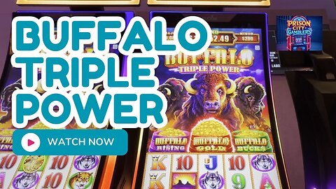Buffalo Triple Power 🧨🎰💥