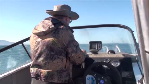 Spring hunt and snapper fish