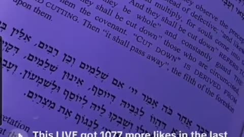 Midnight Zohar. ALEPH LIVE TikTok 🐉 And took from them Simeon. (MIKETZ 11) 12/1/25