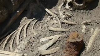 🏛️👽 Giants in Legends: Fact or Fiction? | TheTruthAbove