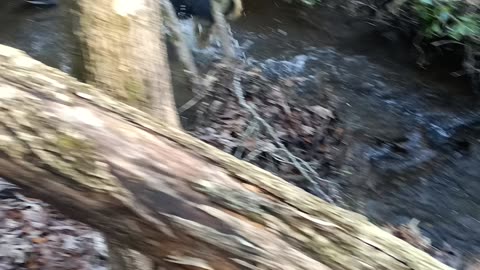 Small Creek on the Property.