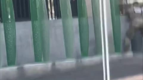 Witness Video Captures Afghan National’s Ambush on National Guard Heroes in DC.