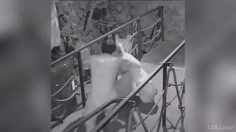 These Memes Are Too Funny to Watch Without Laughing 😂