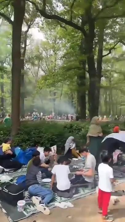 park in Frankfurt, Germany looks like today. There are no Germans in sight.