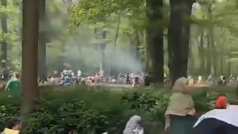 park in Frankfurt, Germany looks like today. There are no Germans in sight.