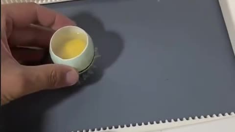 Patinho salvo no ovulo