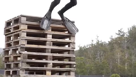 If animals did parkour