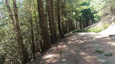 Motorcycle ride through bigfoot devastation