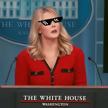 Karoline Leavitt's masterclass on Skill Over Skin Color