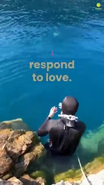 Love All Life Always #19 - All Animals, All Species Need Love