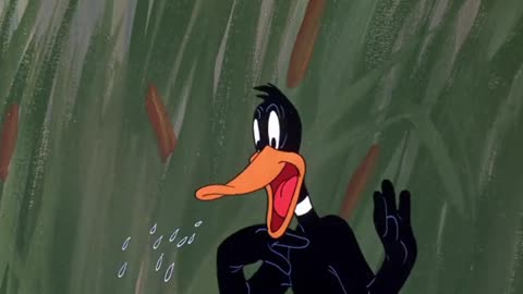 Daffy Duck Hunt (1949) | Warner Bros