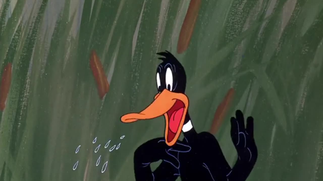 Daffy Duck Hunt (1949) | Warner Bros