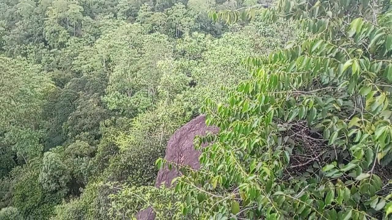 Natural look in Sri Lanka