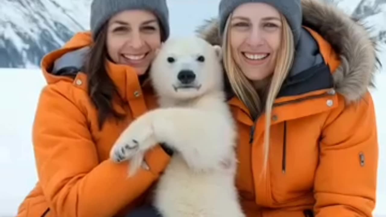 Tiny Polar Bear,s Heartwarming Rescue