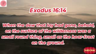 “God Provides Manna in the Wilderness” Exodus 16:1-36. #shortvideo #shorts #youtubeshorts #ytshorts