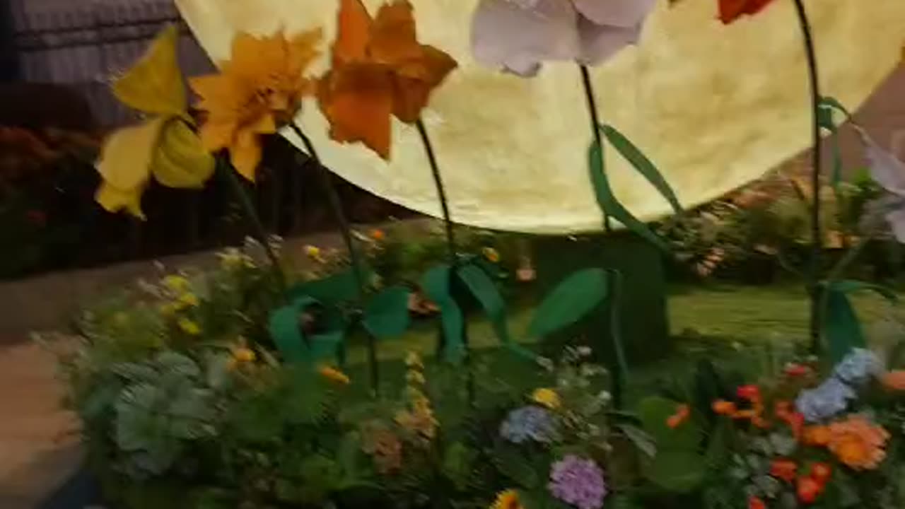 moon on the floor can you imagine