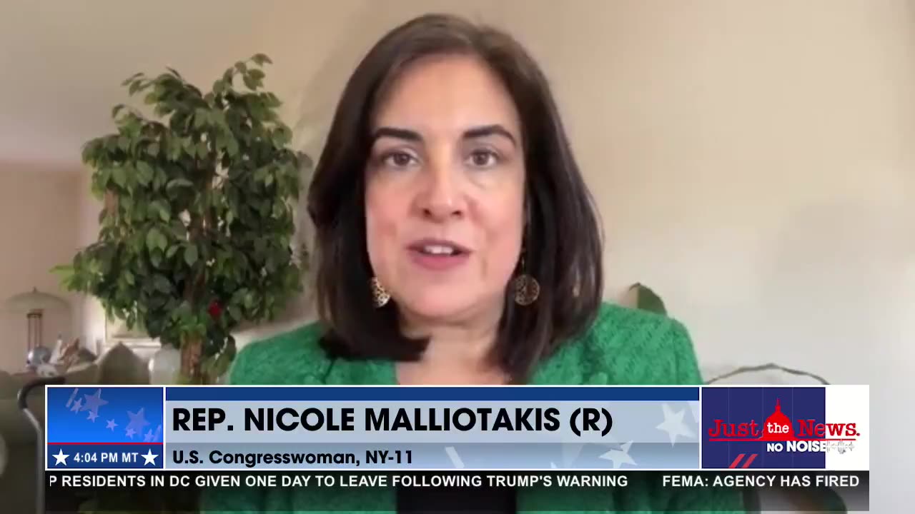 Rep. Nicole Malliotakis demands end to inhumane NIH animal experimentation