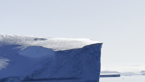 Majestic Icebergs of Antarctica: Nature’s Frozen Giants ❄️🌊