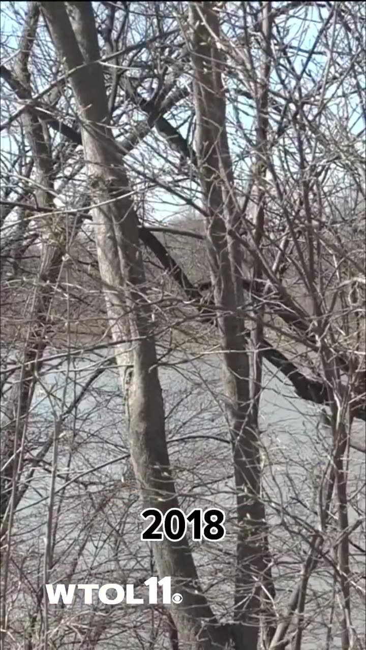 The Campbells Soup scandal continues