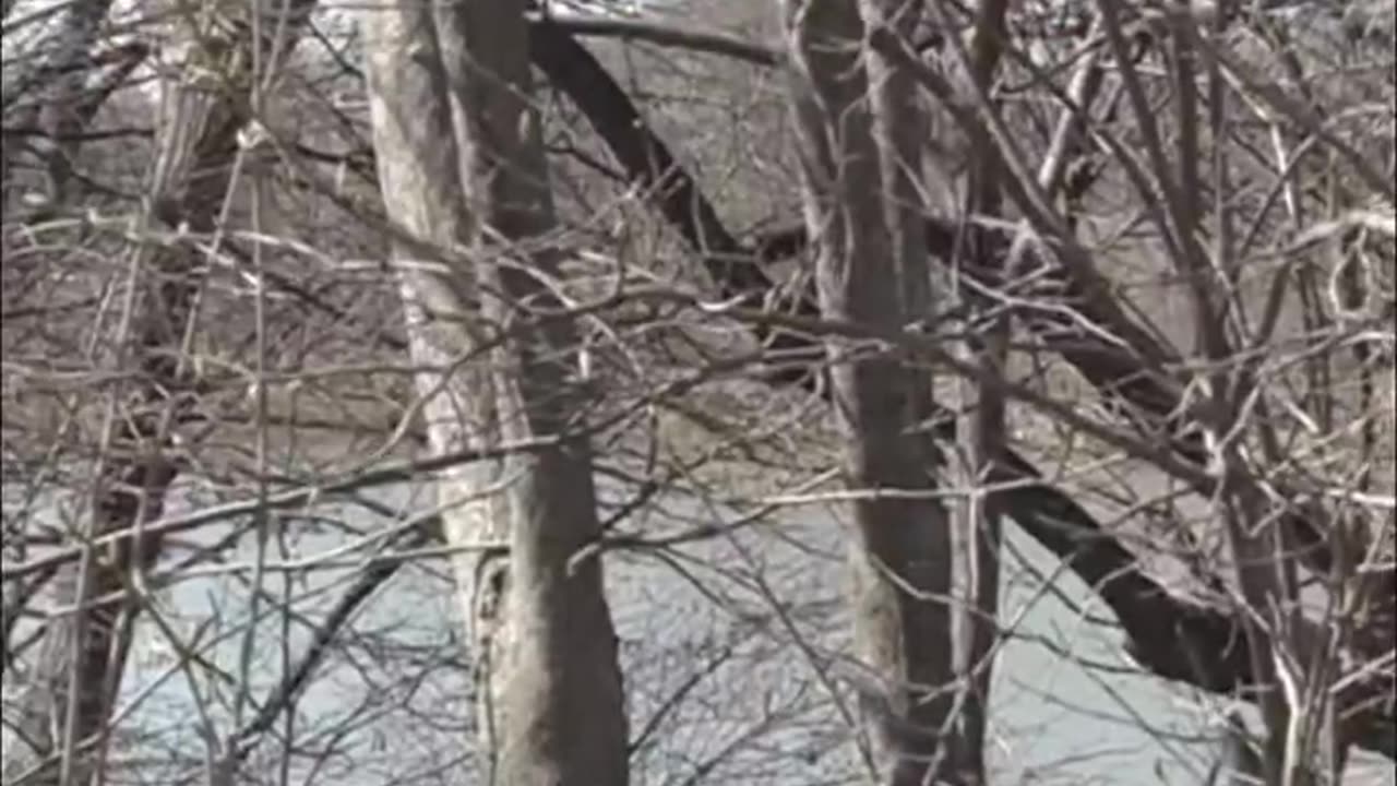 The Campbell's Soup scandal continues