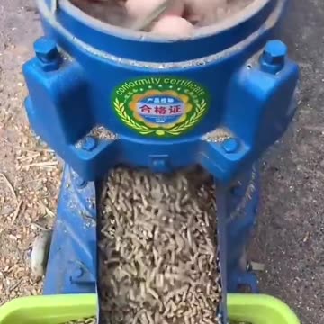 This is how rural farmer make their animal feeds