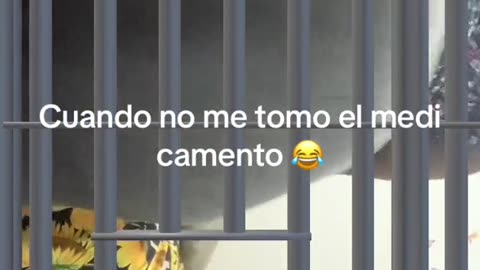 alfredalopez89 #fond