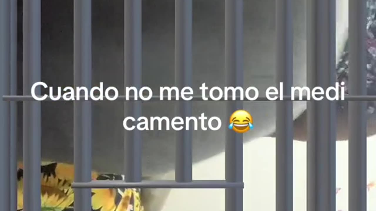 alfredalopez89 #fond