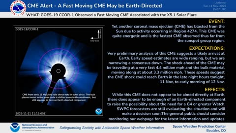 The Wire - November 11, 2025