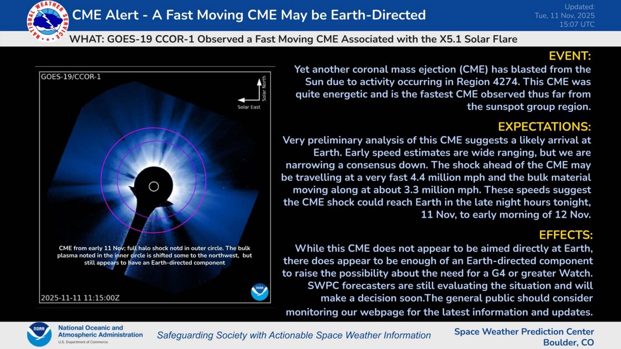 The Wire - November 11, 2025