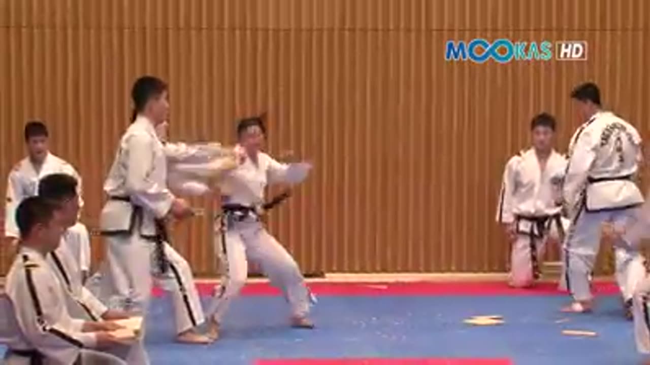 Taekwondo