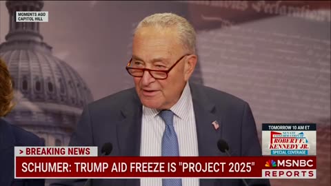 Chuck Schumer claims America has currently been plunged into chaos.